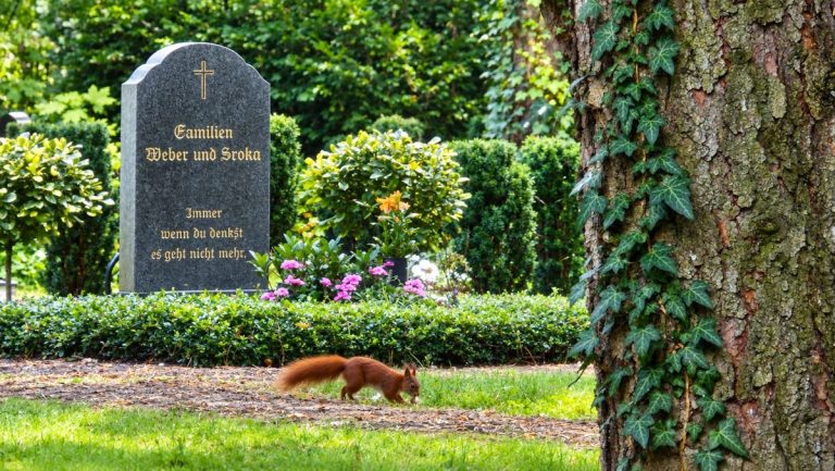 Persönliche Wünsche zur Trauerfeier Trauerrednerin Trauerredner Halle